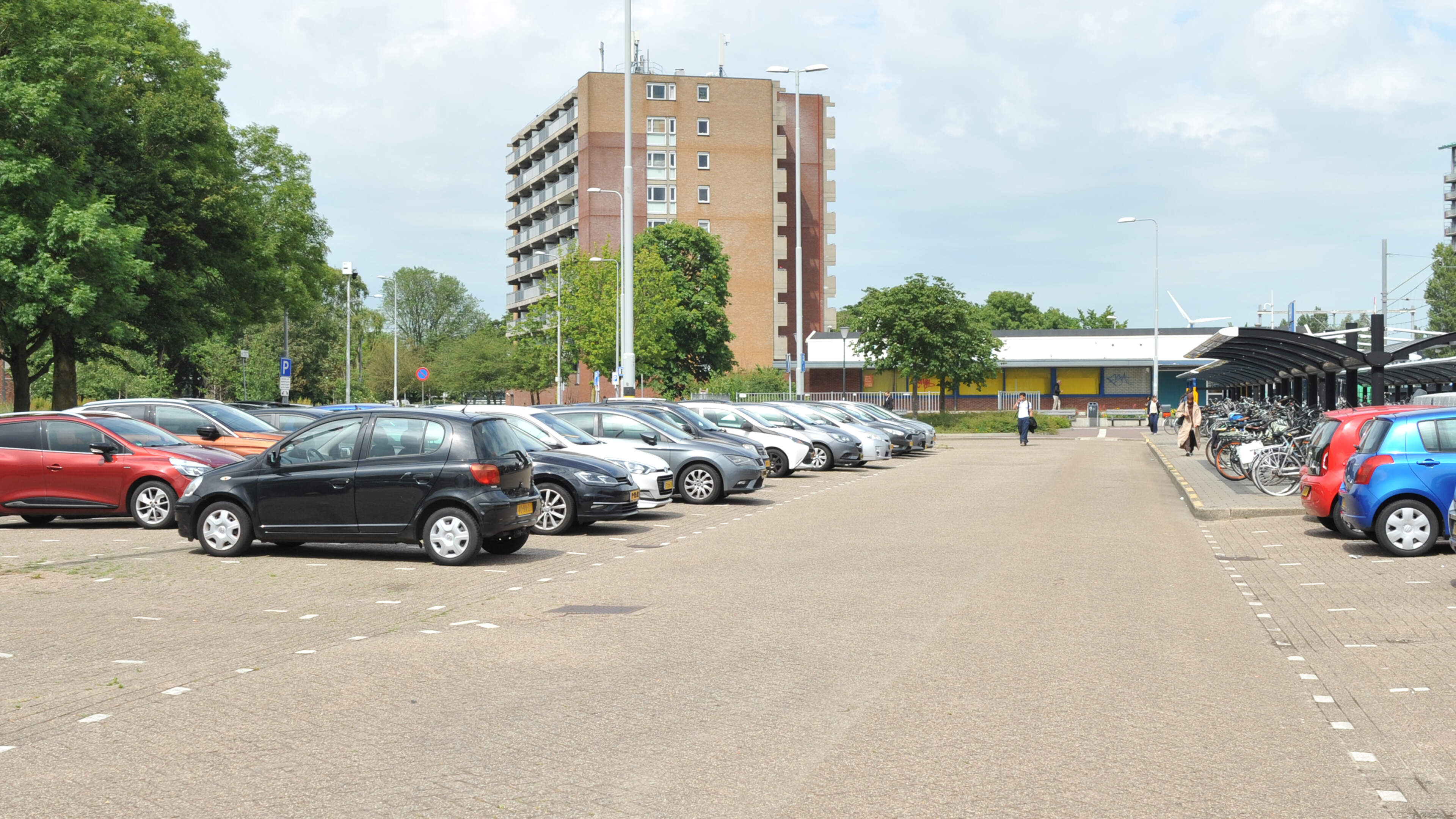 Bats hinder Heemskerk housing project: 9 fewer homes due to flight paths