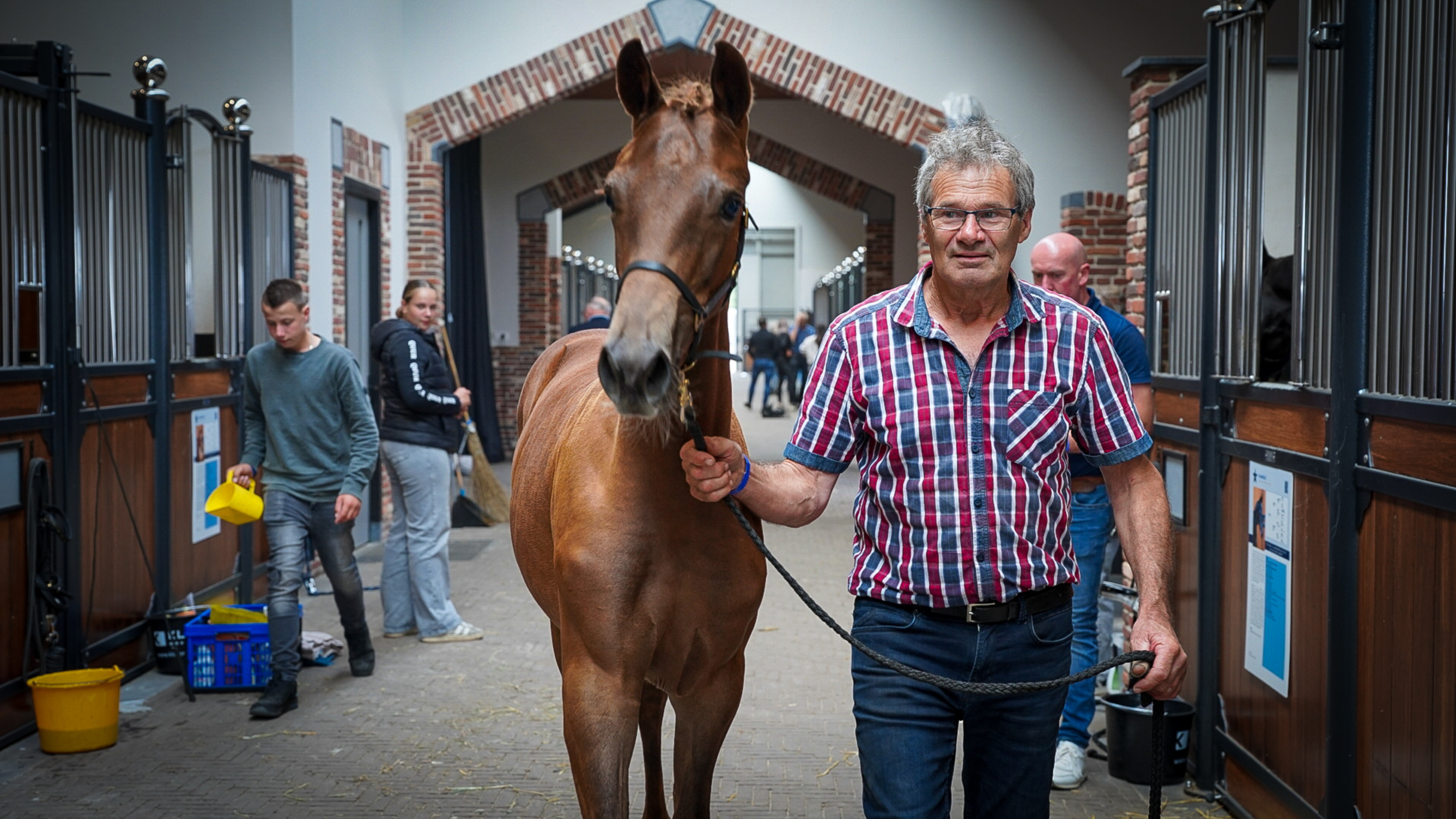 Kroonluchters, camera’s en kampioensbloed: dit is de nieuwe dressuurpaardenveiling