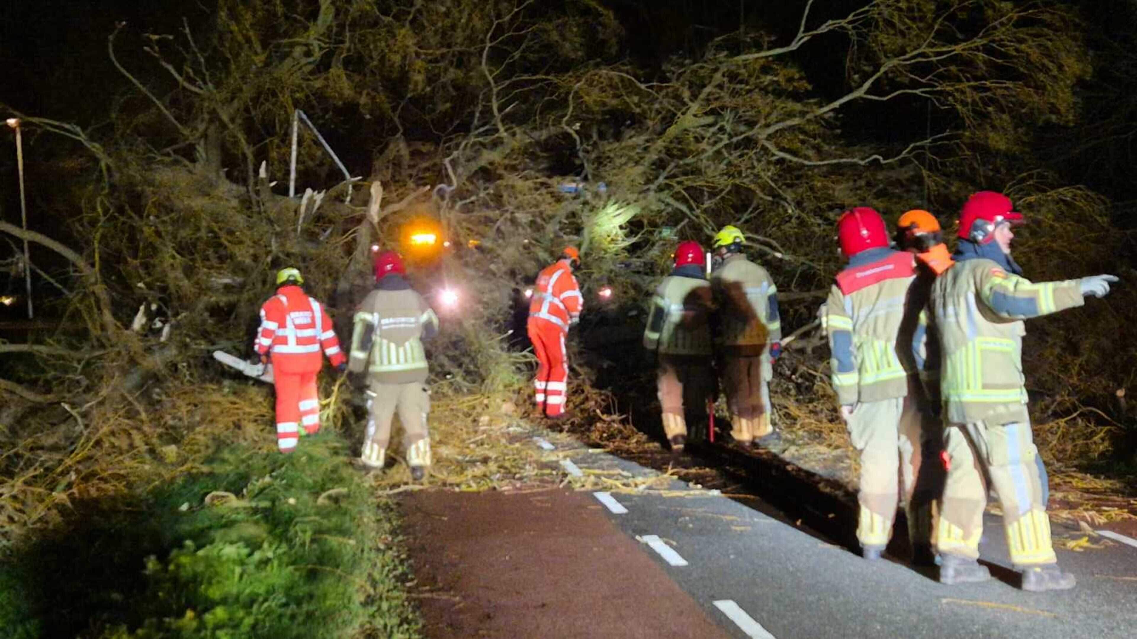 Grote boom omgewaaid op weg door storm Conall in Wijdewormer