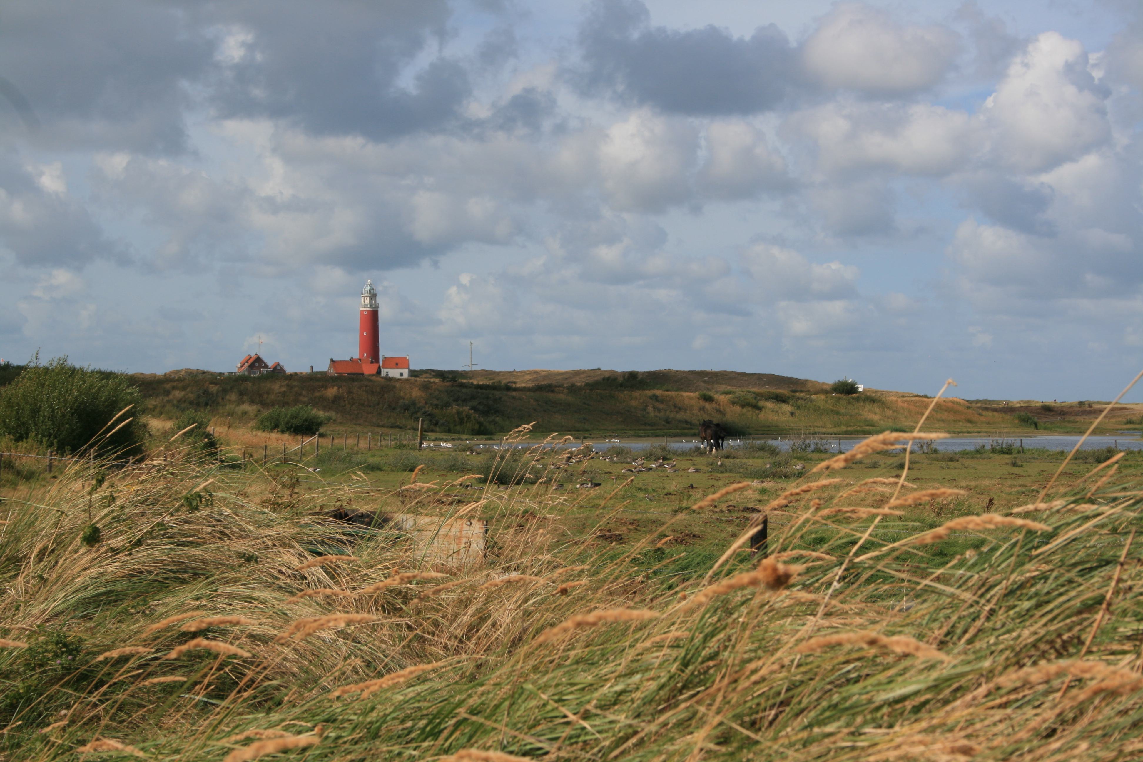 Texel is volgens Booking.com de meest gastvrije bestemming van Nederland