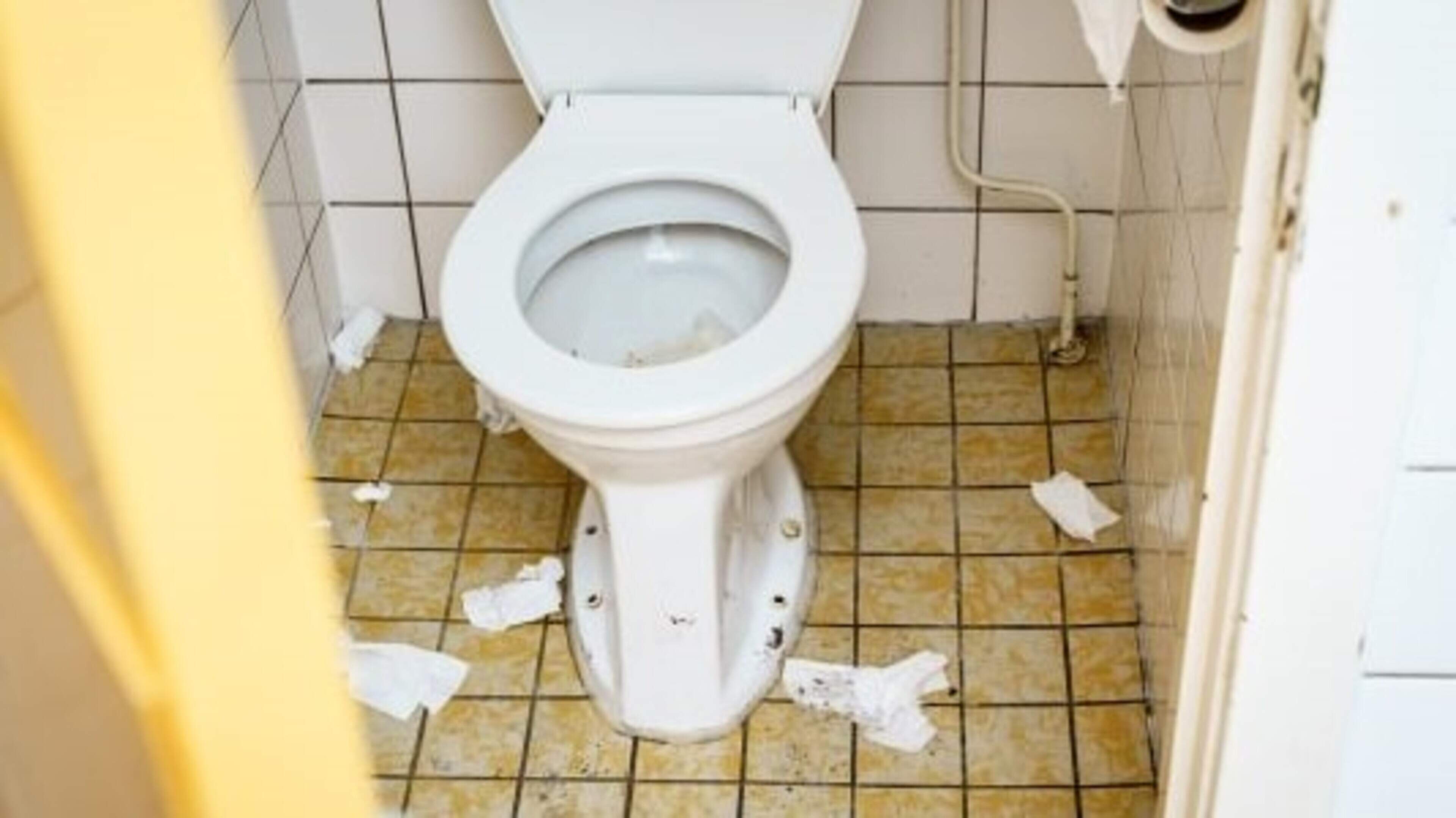 Half of high school students afraid to use the toilet: 'Too dirty and unsafe to poop'