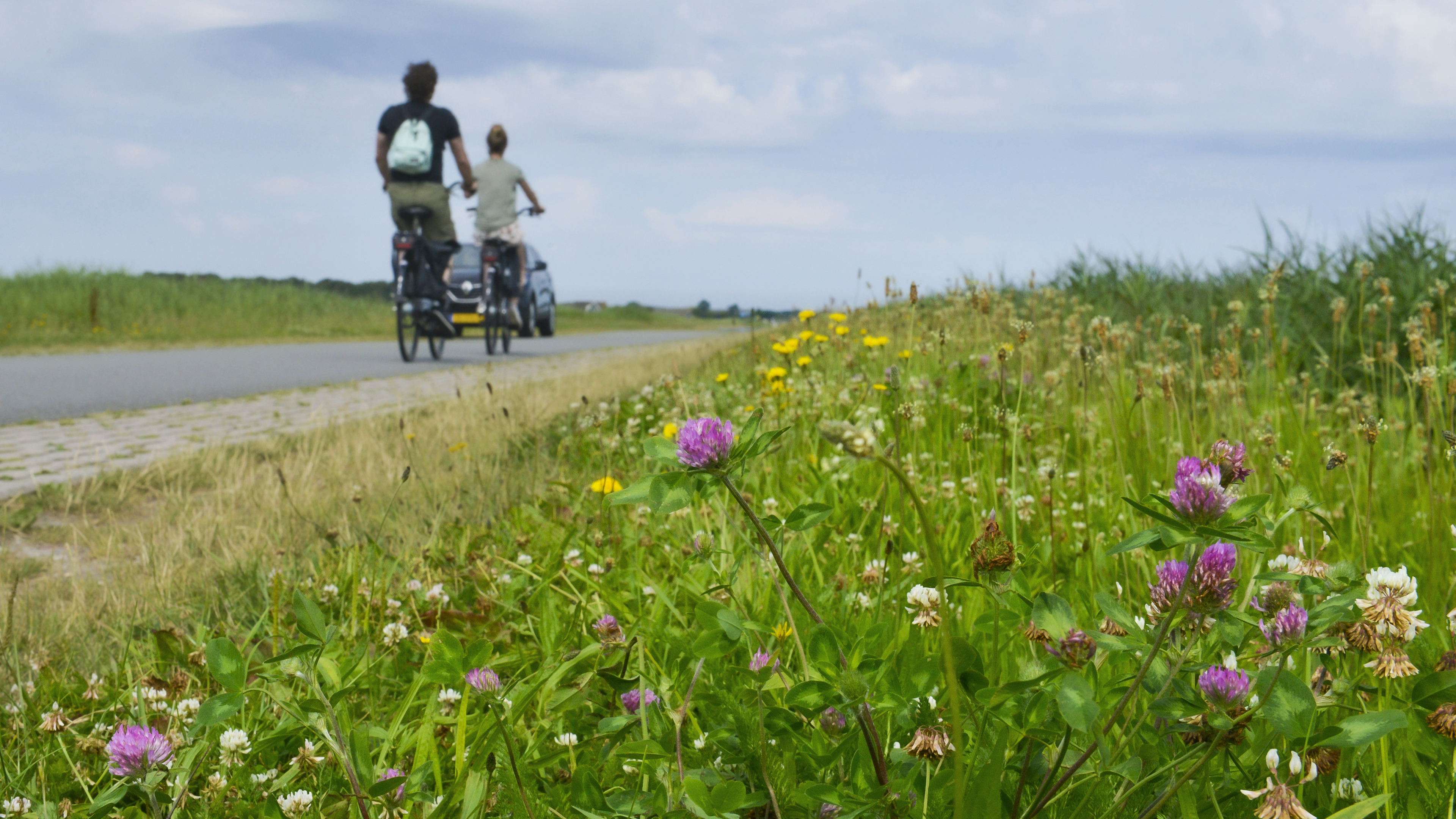 Ecological mowing begins in Uitgeest to give plants and animals more space to grow