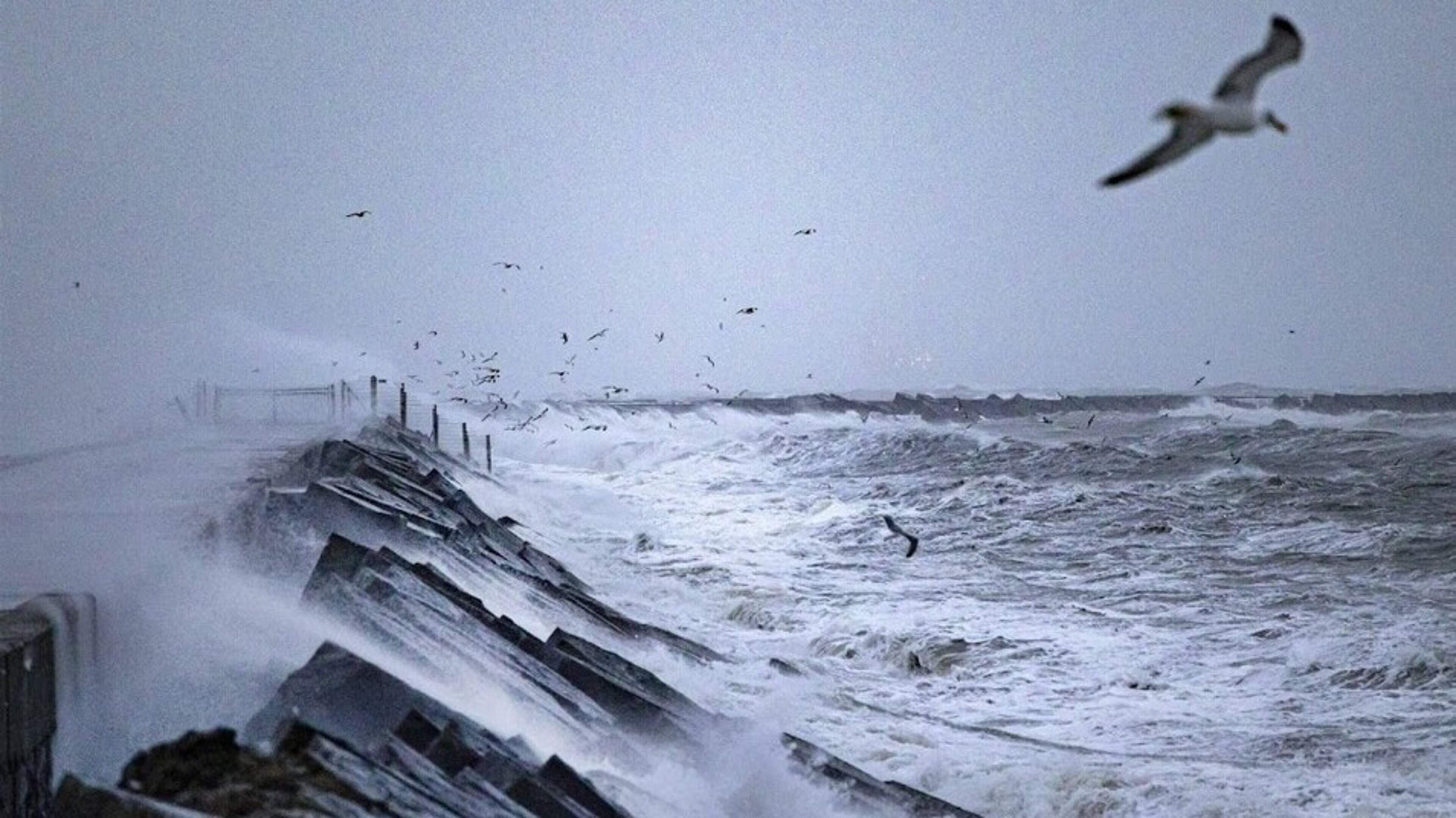 Code yellow for severe wind gusts in Northwest Netherlands overnight