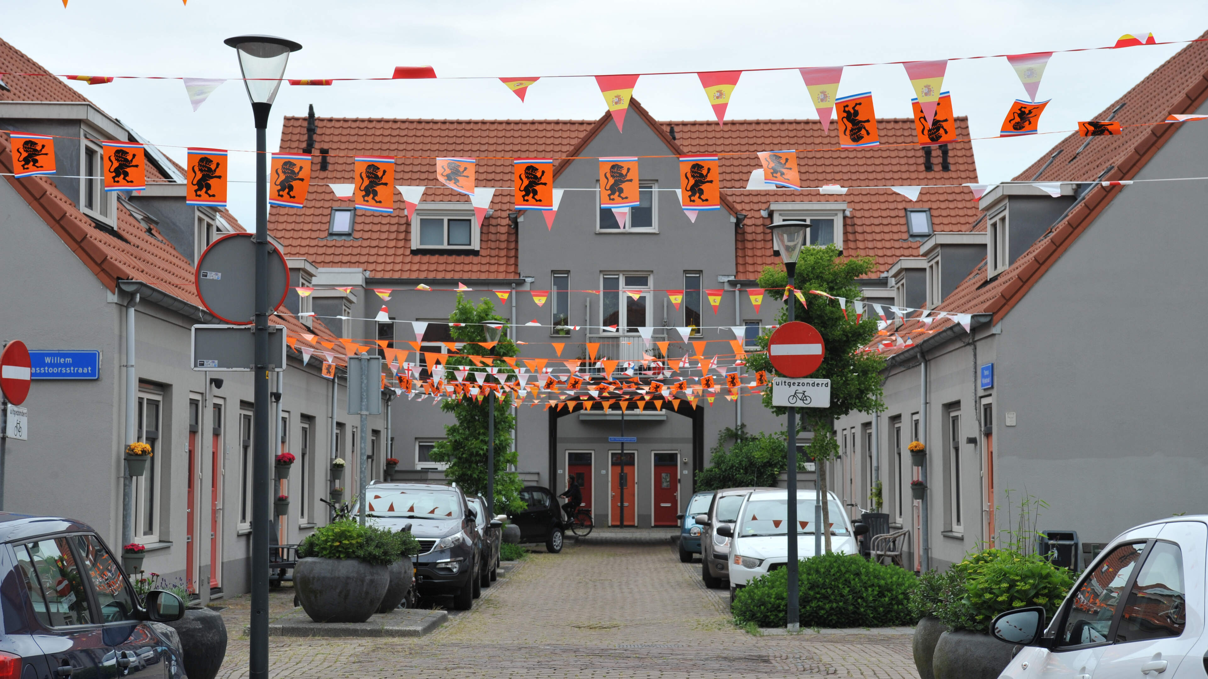 My street is the best! New summer column on the nicest streets in the IJmond. Who's joining in?
