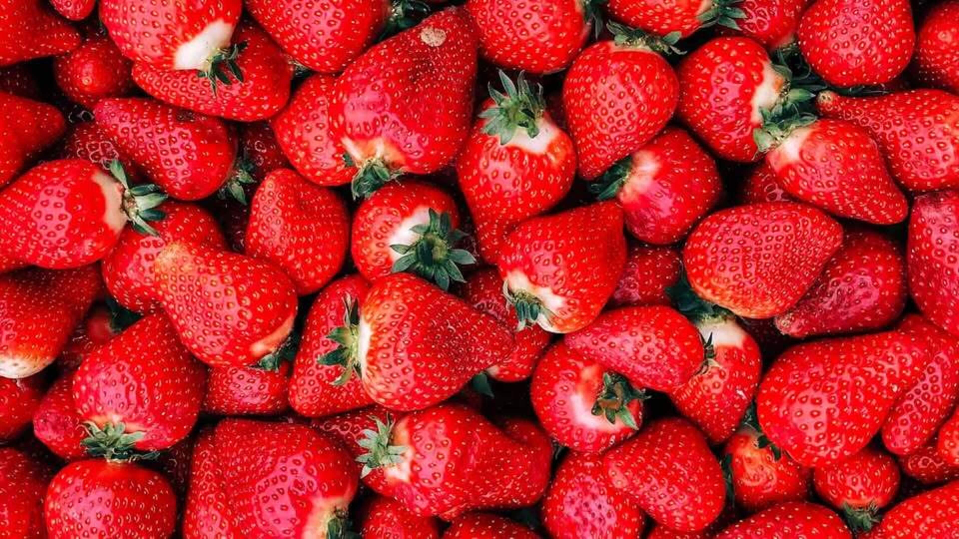 Beverwijk celebrates Strawberry Day on Wednesday June 3: free activities for children behind the Smaeckkamer