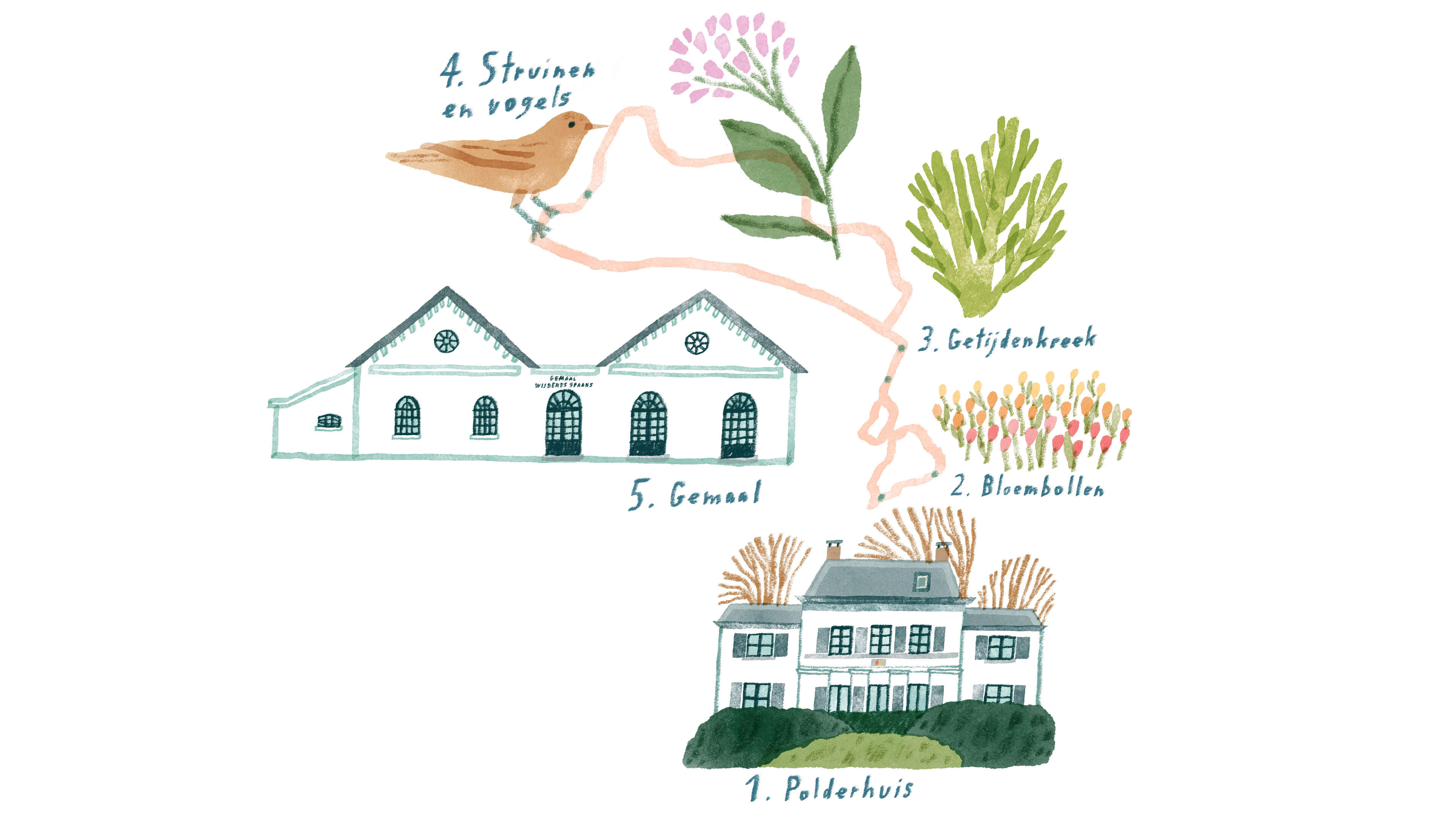 Wild nature and floral splendor in Anna Paulowna