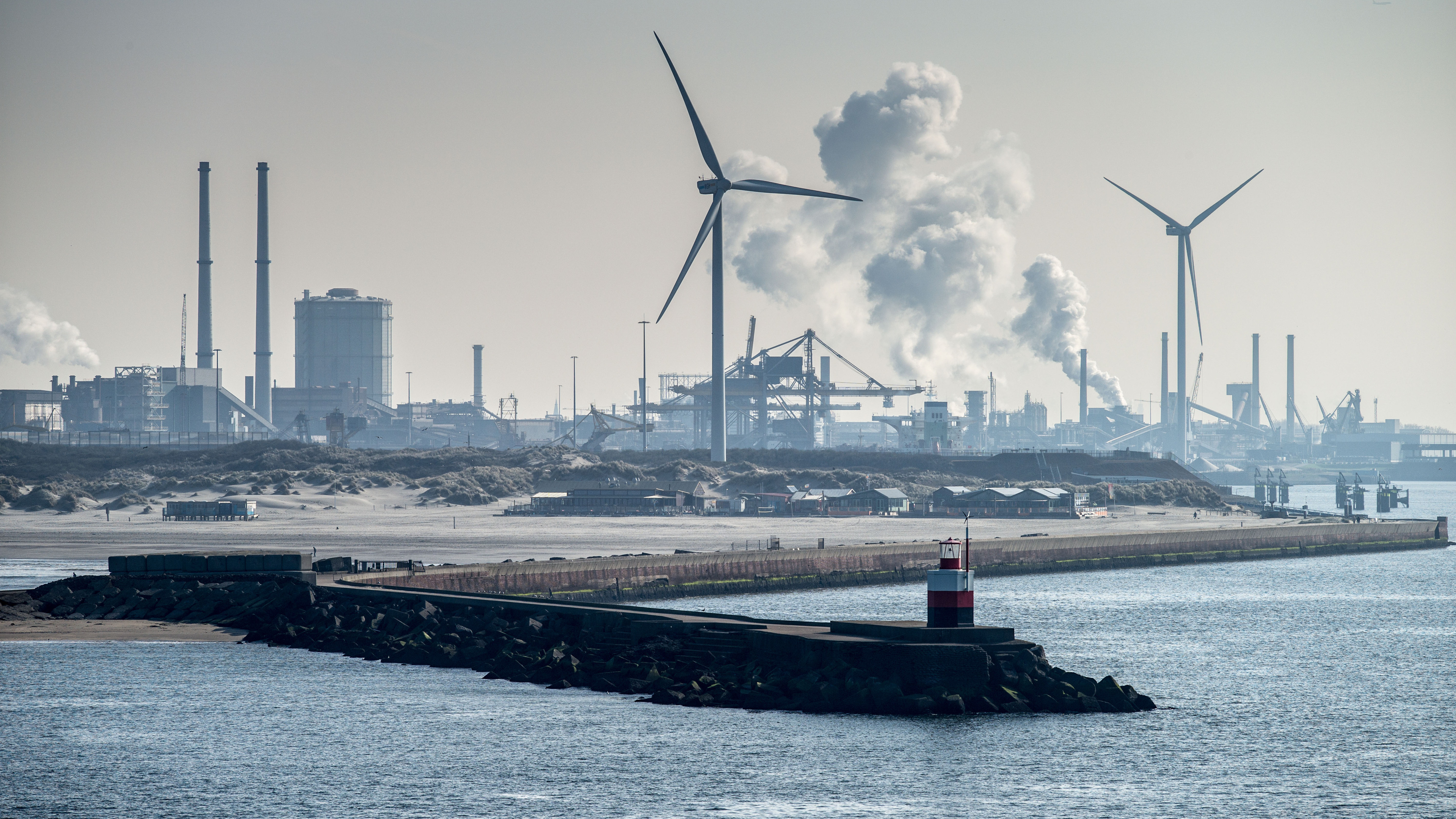 IJmuiden fishing company holds government liable for years-long port fishing ban