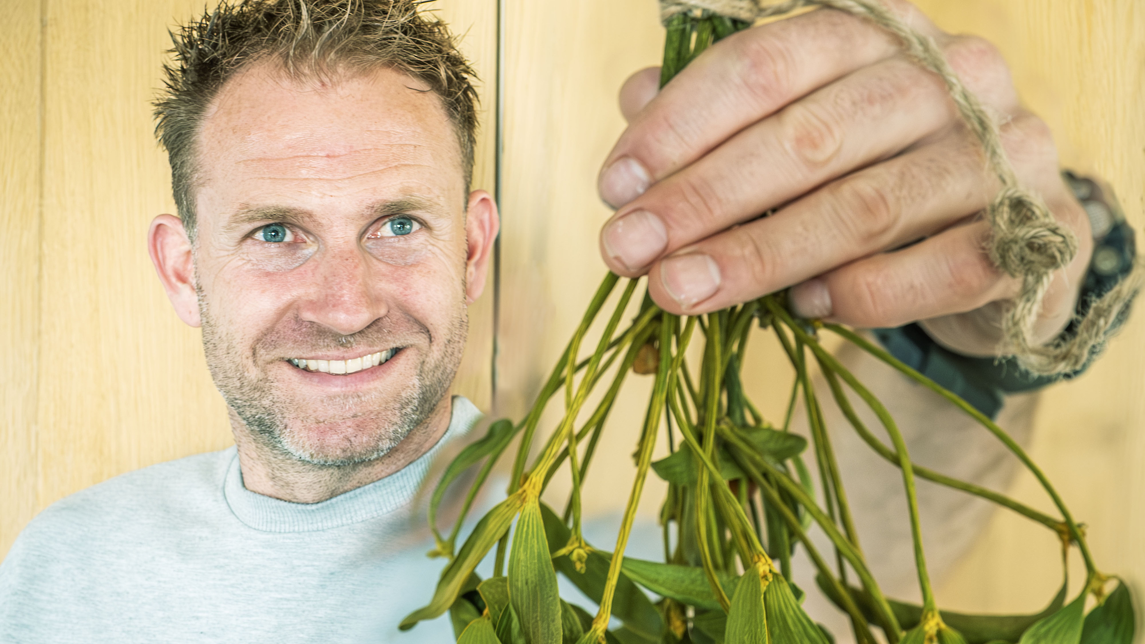 What should I do with mistletoe in my garden?