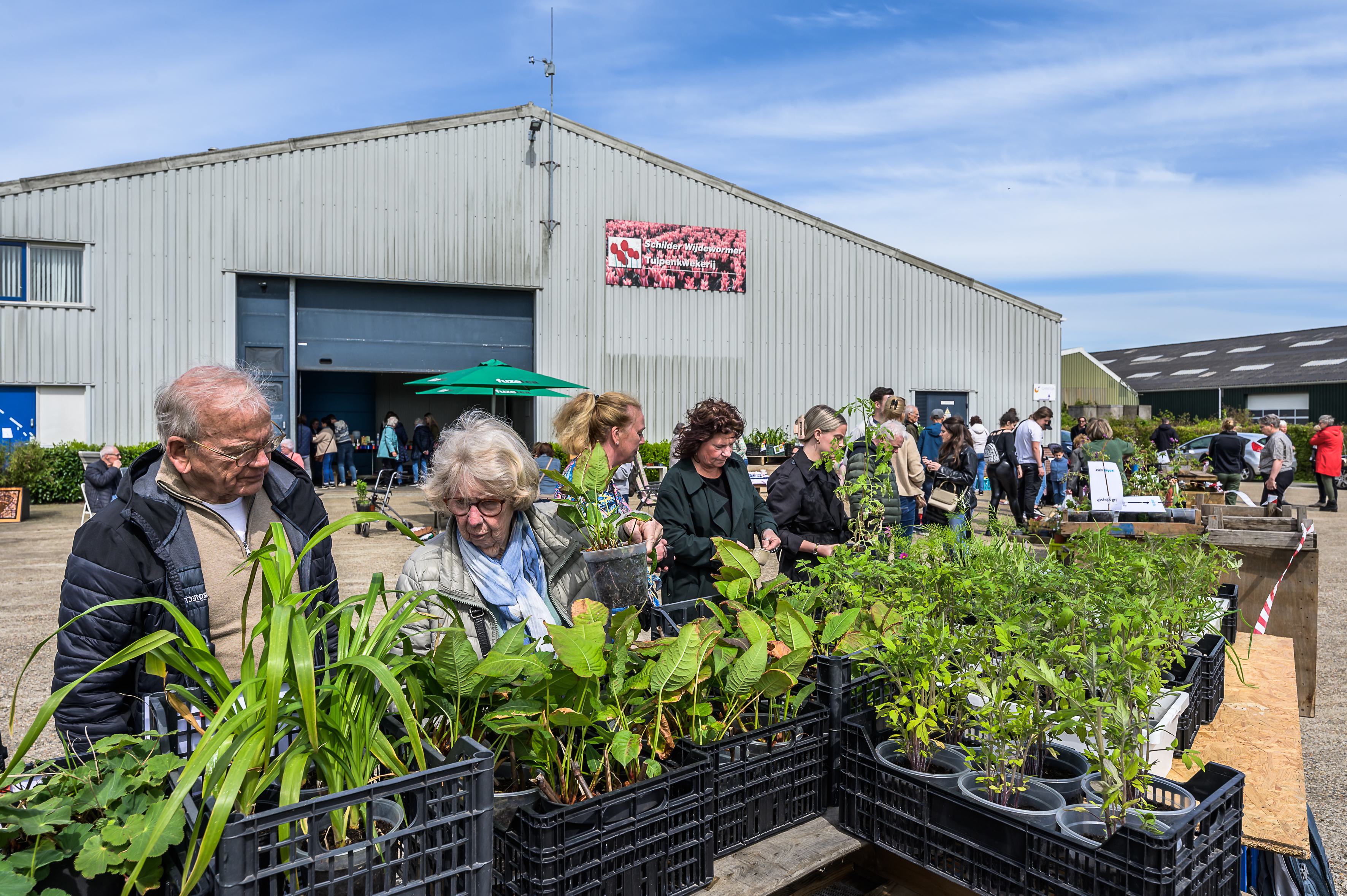Stekkenmarkt Wijdewormer voorziet in een behoefte: ’Gezellig met m’n schoonmoeder stekjes kopen’