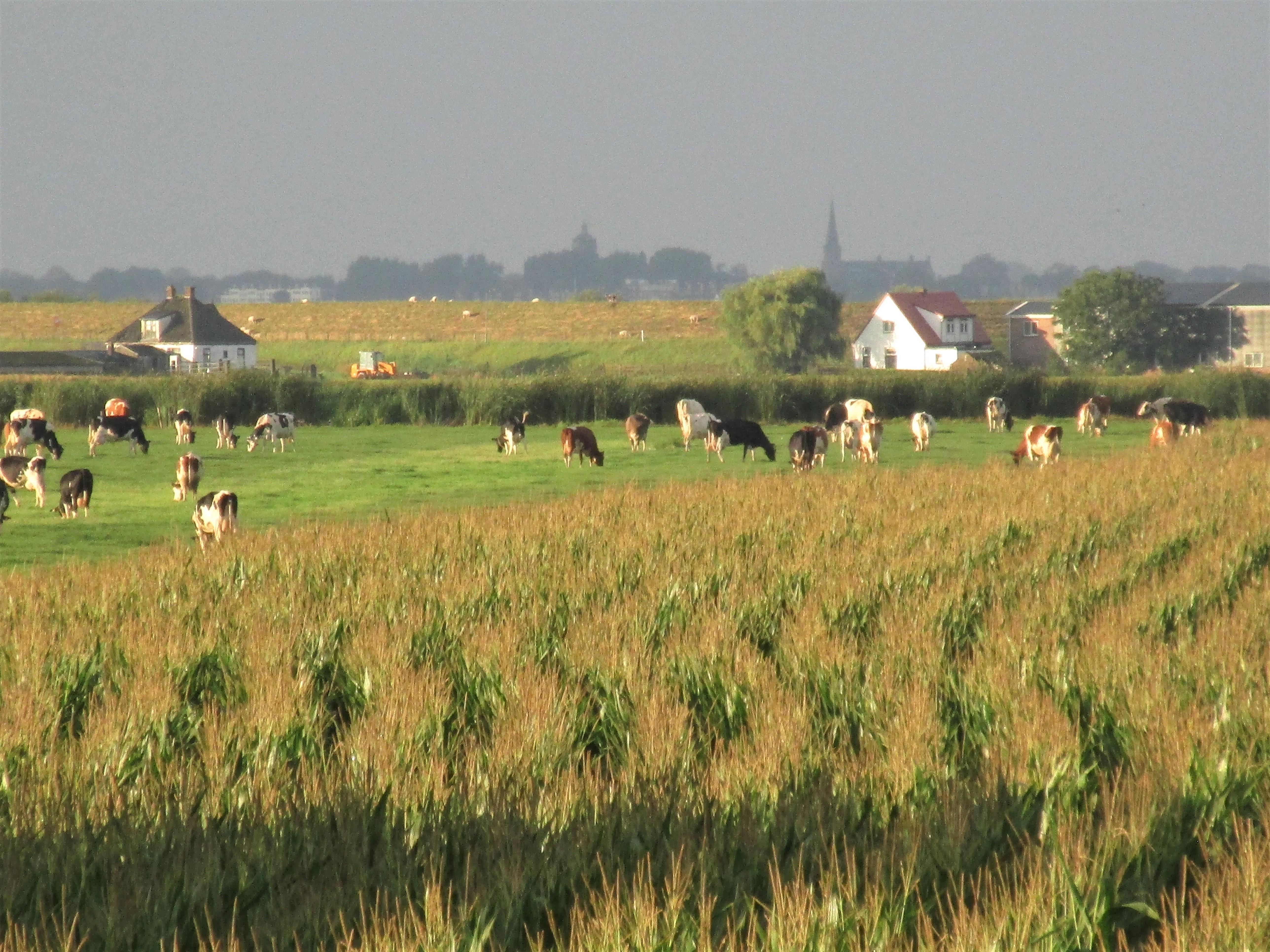 Na regen komt zonneschijn. Greetje Snoek laat het zien op de foto die ze instuurde voor de Buitenfot