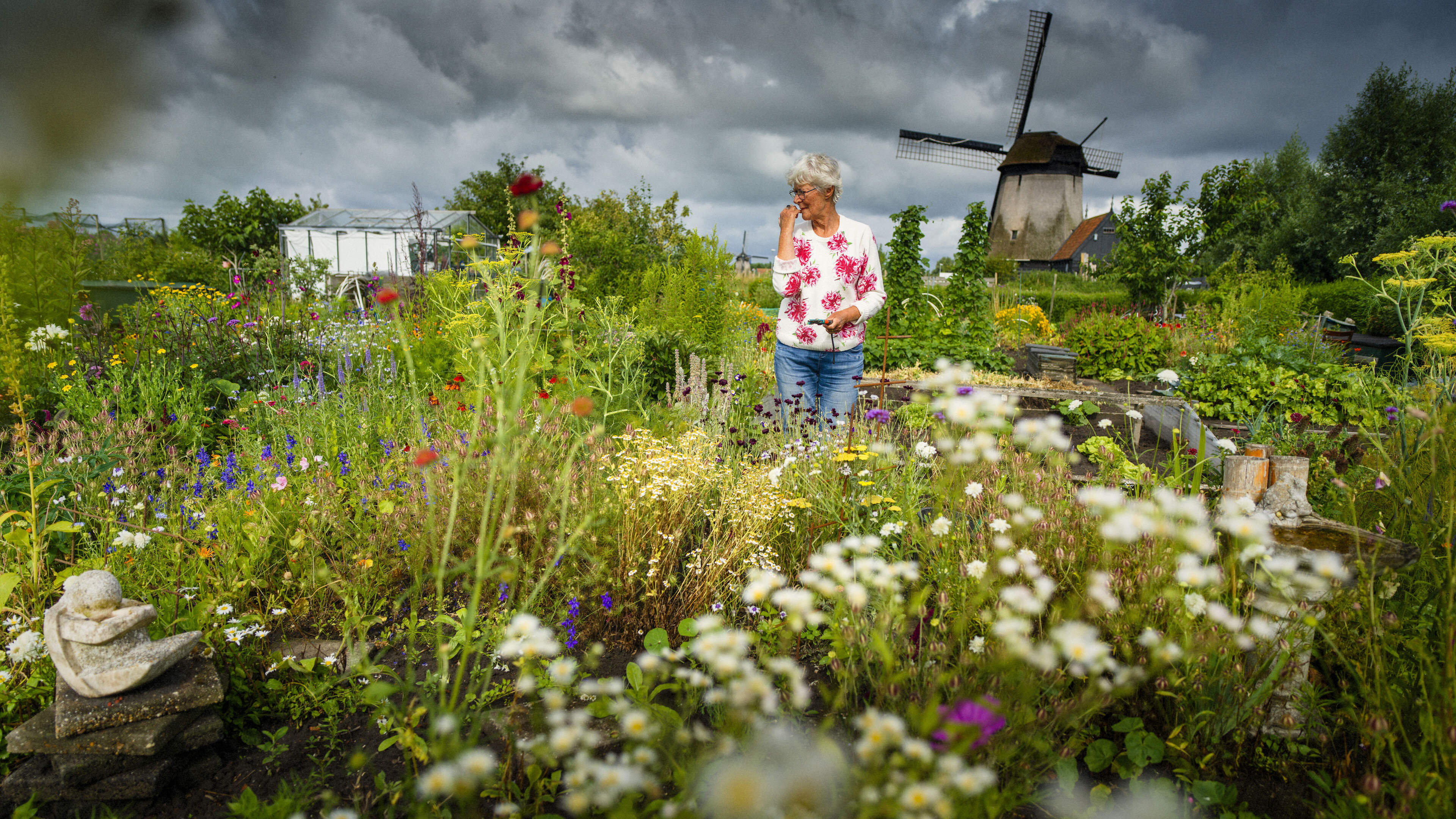 Lida (73) wordt gelukkig van haar bloemenzee. Ze heeft al veertig jaar een pluktuin