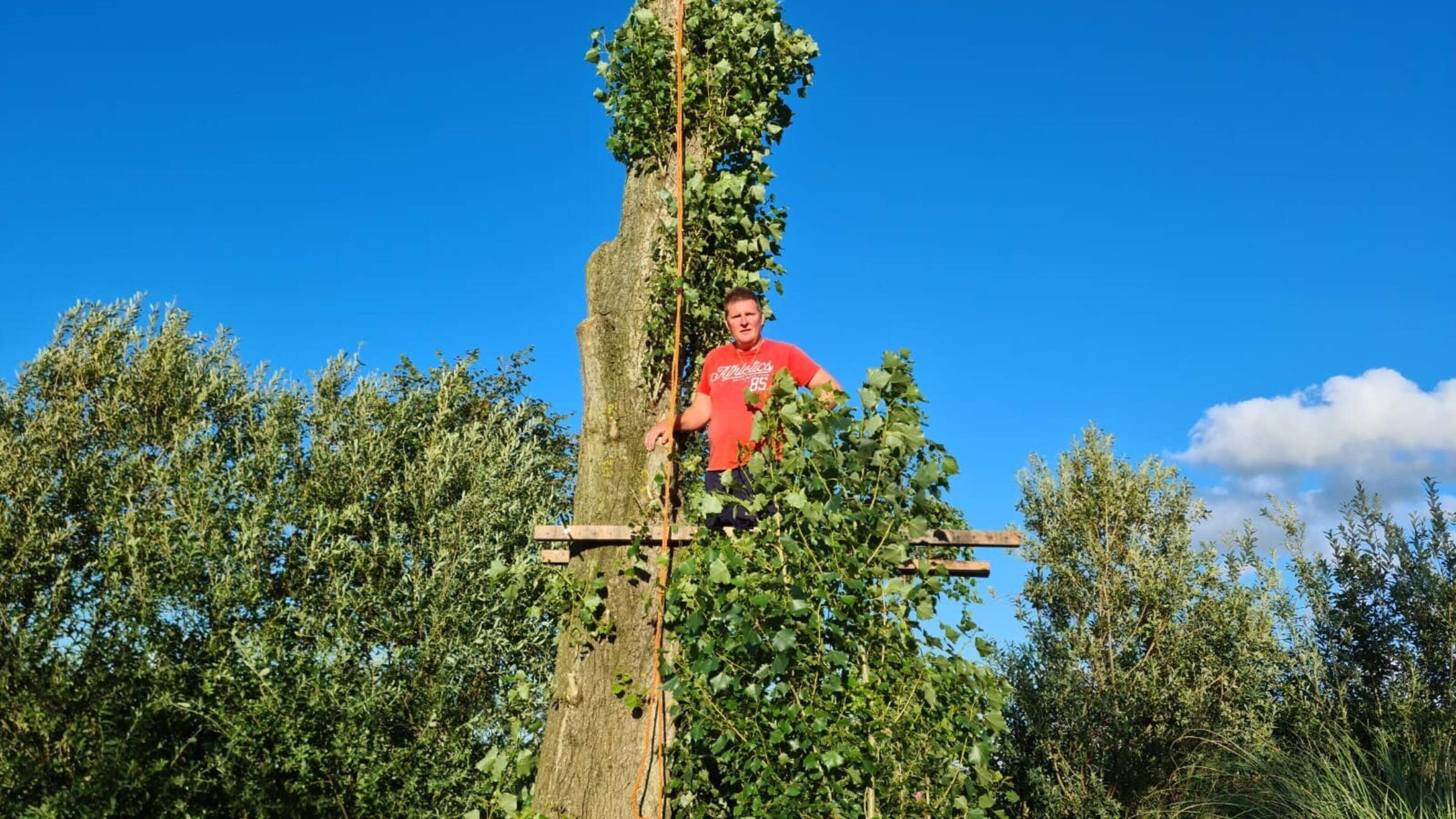 Appeldief actief in De Rijp. ’Er lag misschien nog een appel en een peer op de grond, voor de rest w