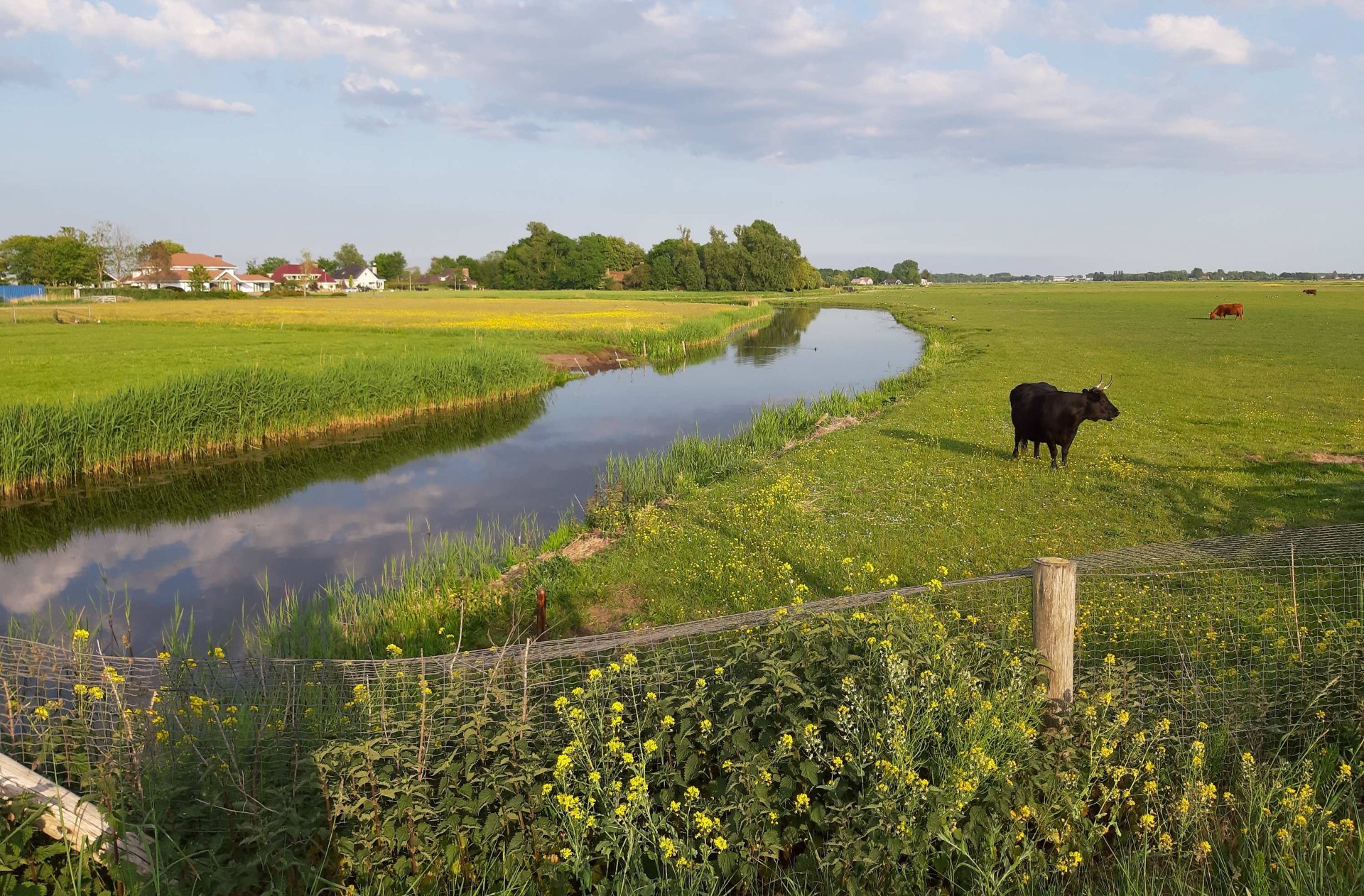 Cycling with the Oer-IJ Foundation: bike tour through the unique nature reserve