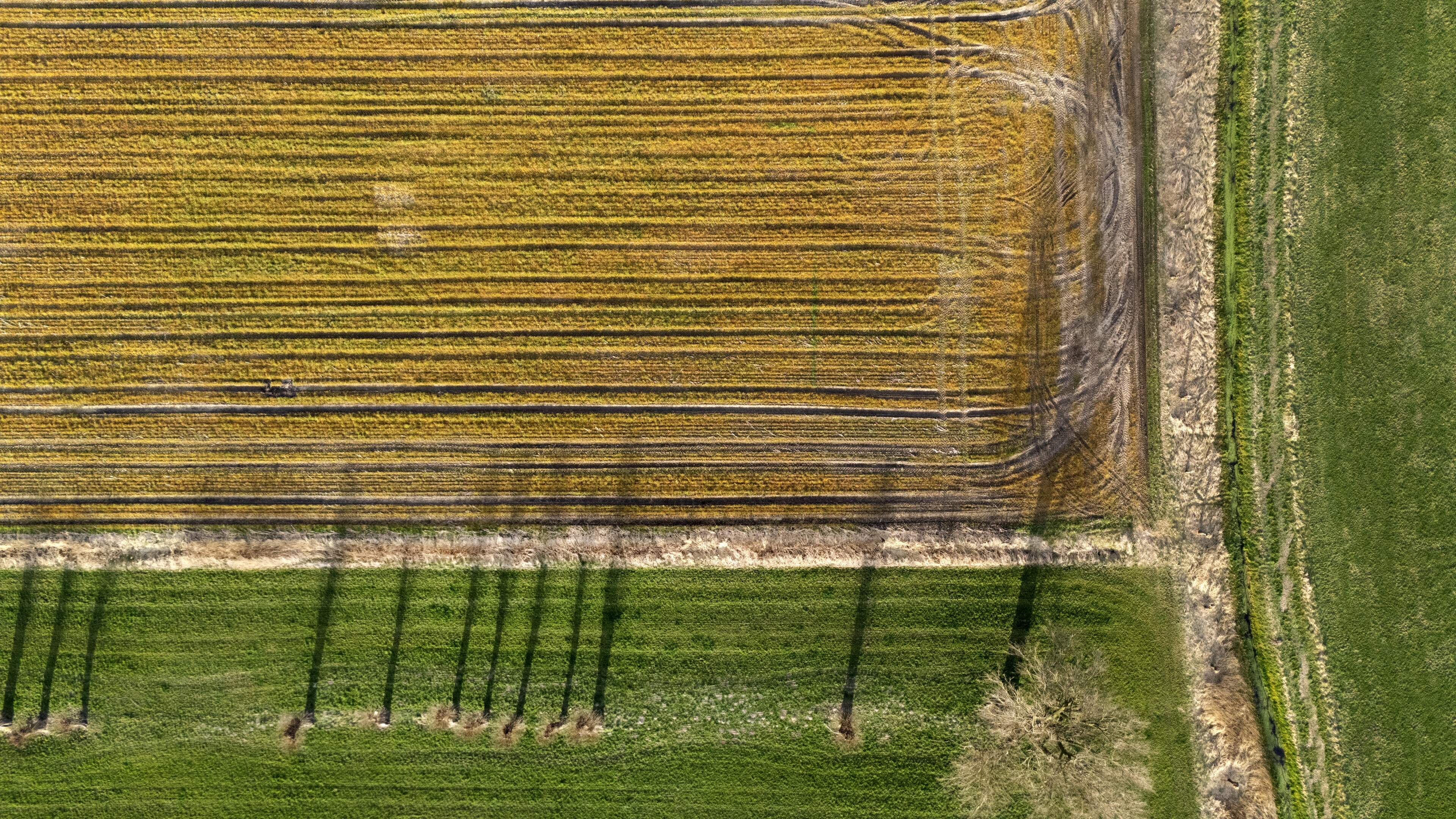 Castricum wants farmers to stop using glyphosate over potential health risks