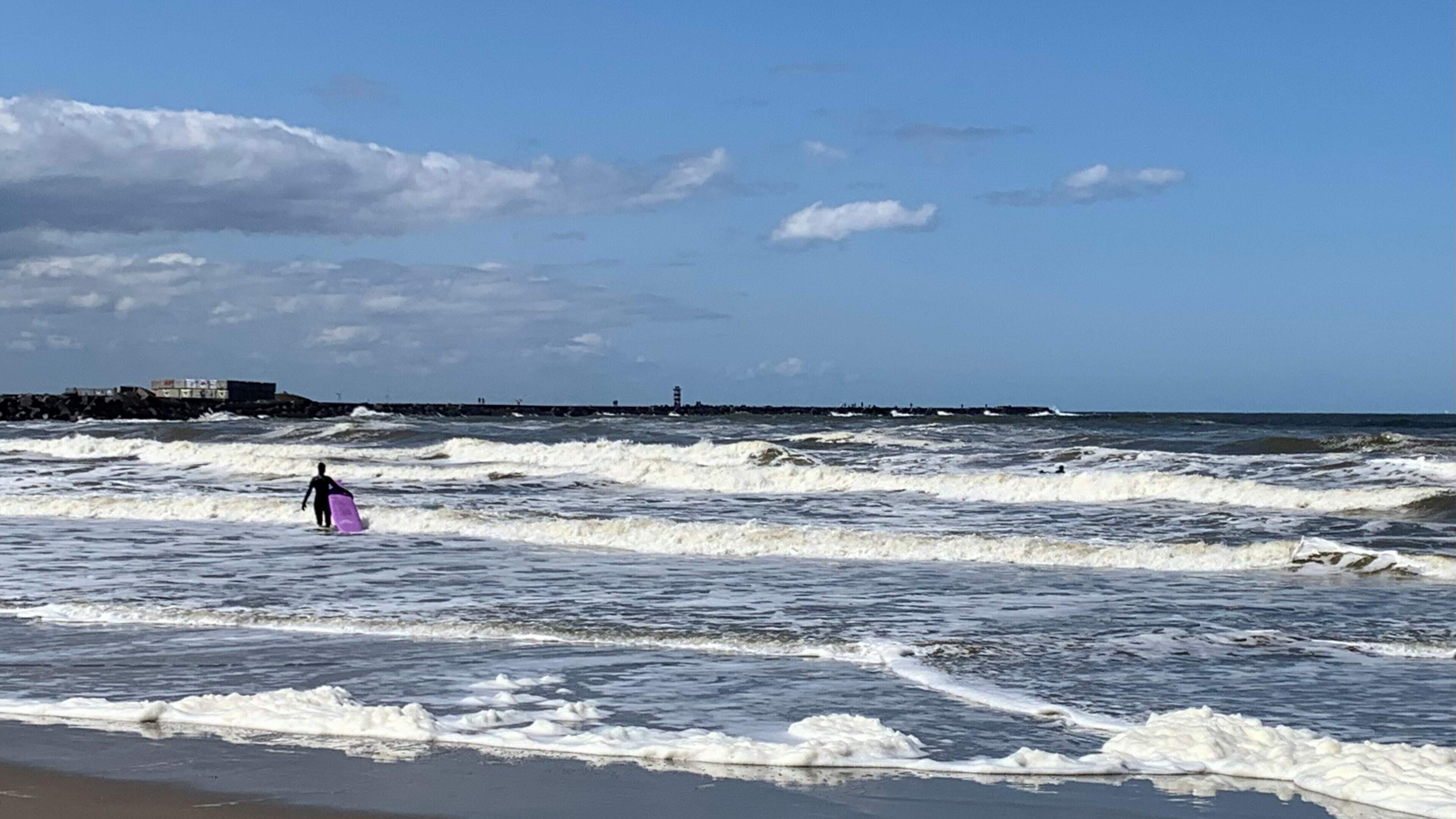 Surfers zijn voorzichtig, maar gaan ondanks het algenschuim de zee in: ’Je moet vooral zorgen dat je