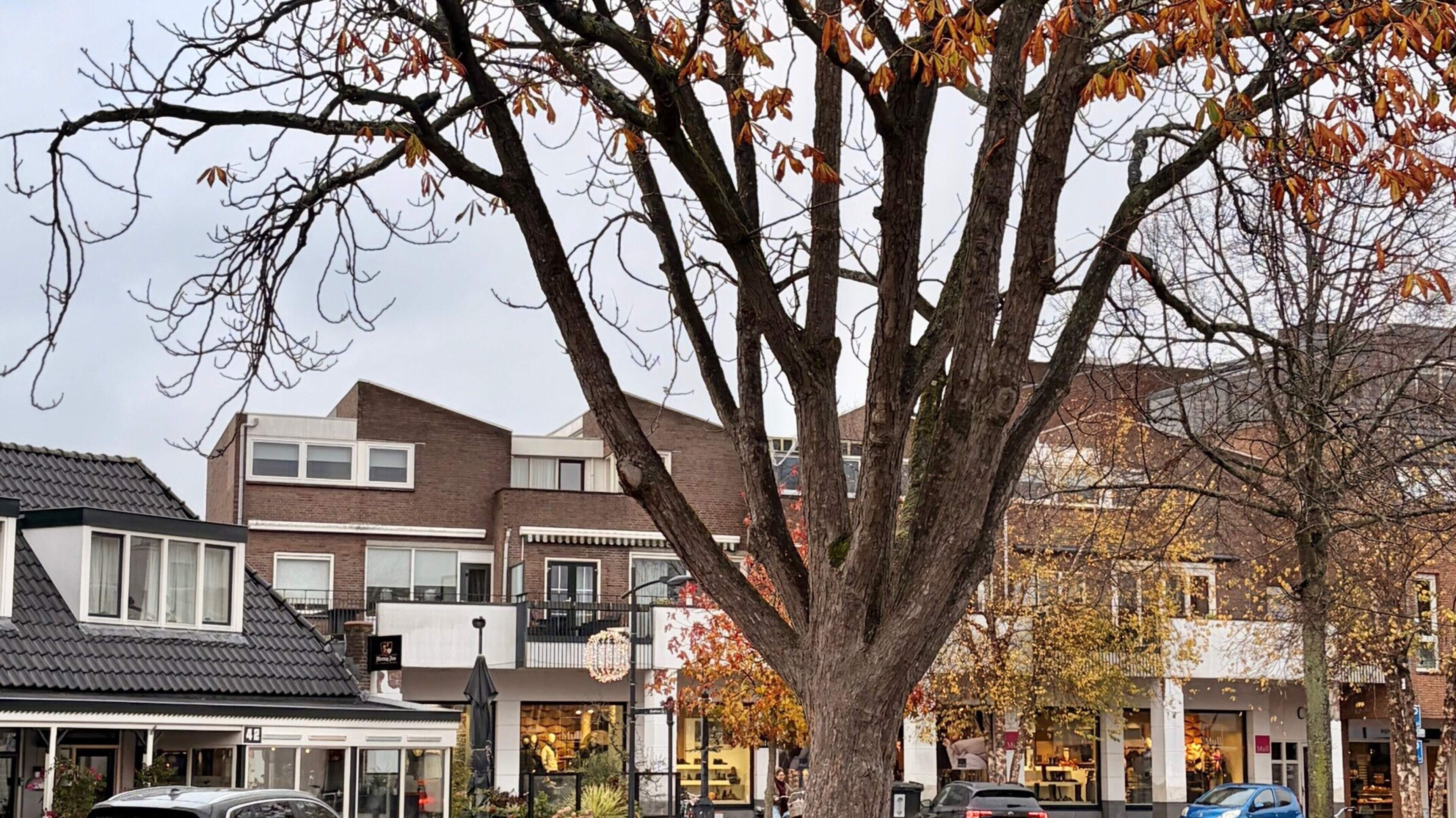 Castricum to get more than 300 additional trees