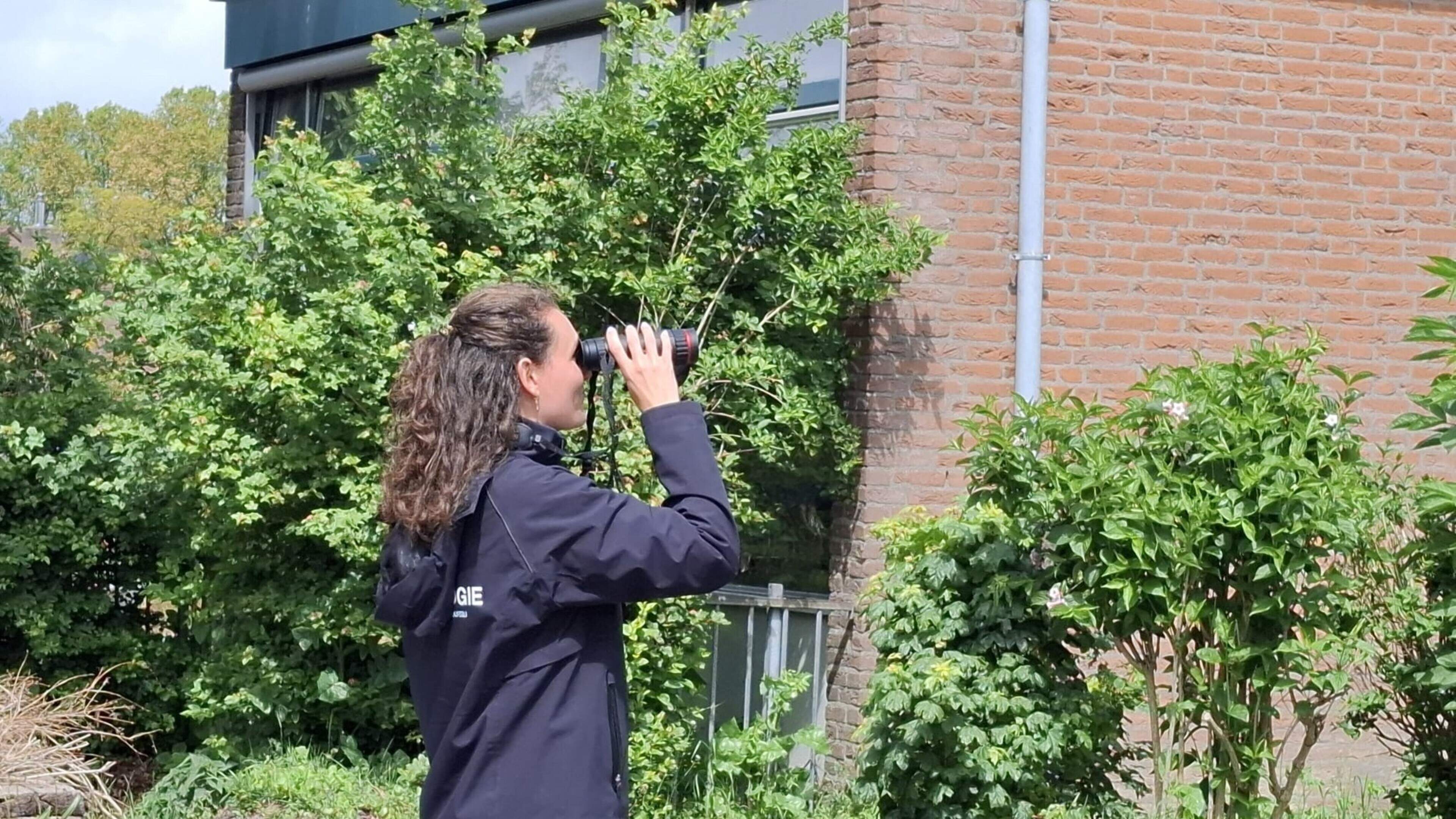 Ecologists survey winged inhabitants of De Molenhoek in Uitgeest: ‘Careful planning prevents delay, so timing is very important’