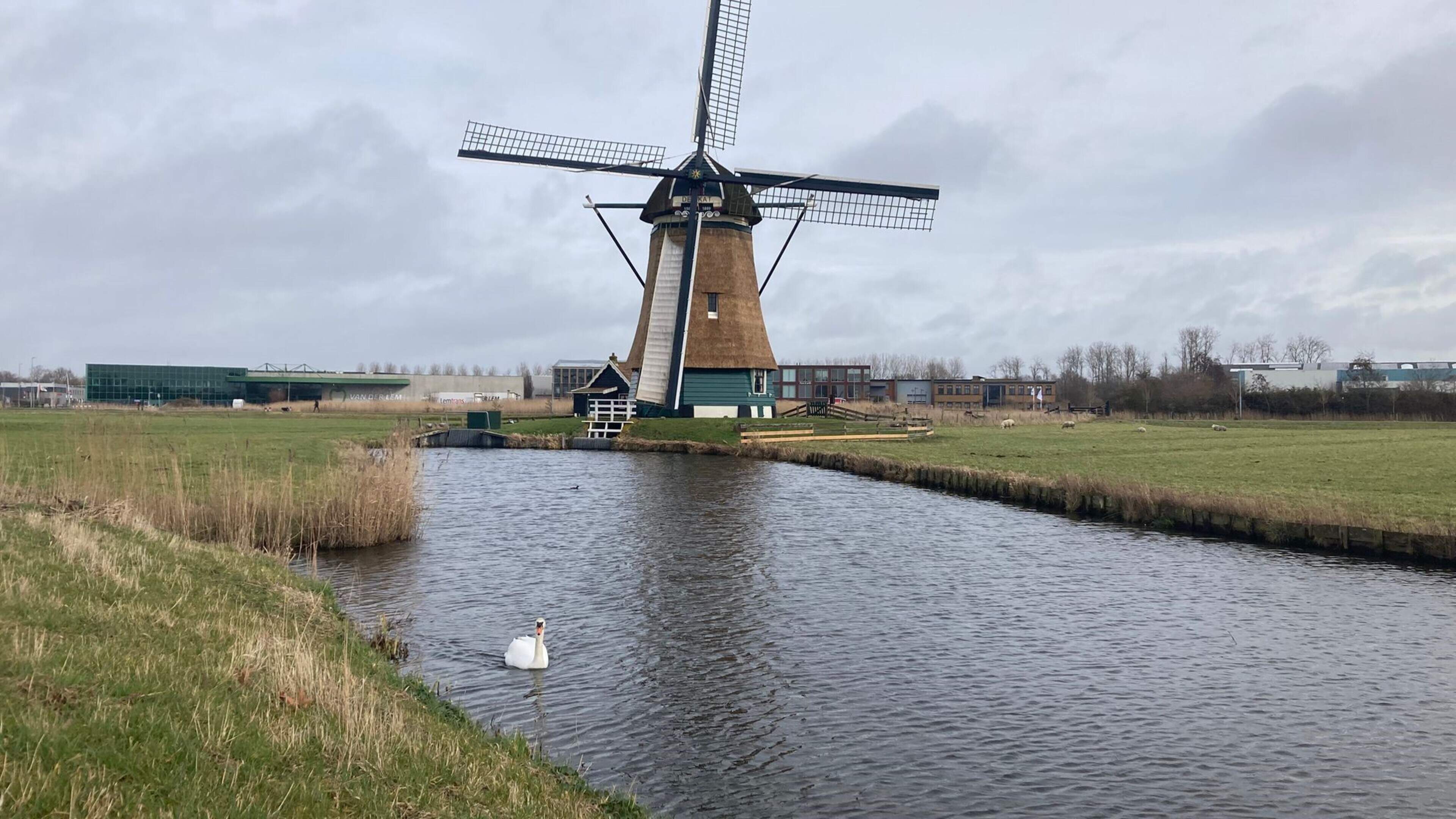 Take a tour during National Mill Day 2026 in Uitgeest and Akersloot; sails will turn if there is enough wind