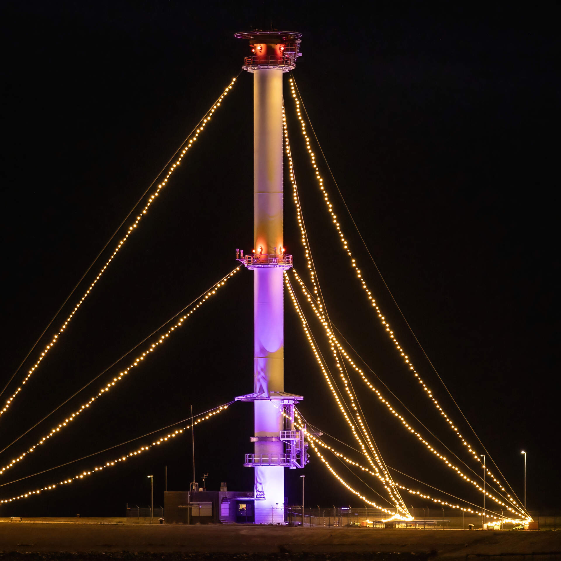 Hoogste kerstboom van de provincie staat op het stadsstrand van Delfzijl - RTV Noord