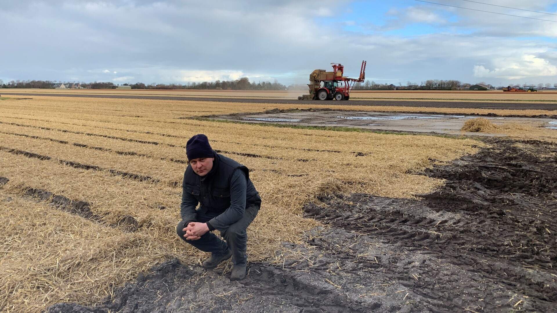 ‘Zonder stro lijkt het hier al snel de Sahara’. Bollenkwekers in de ...