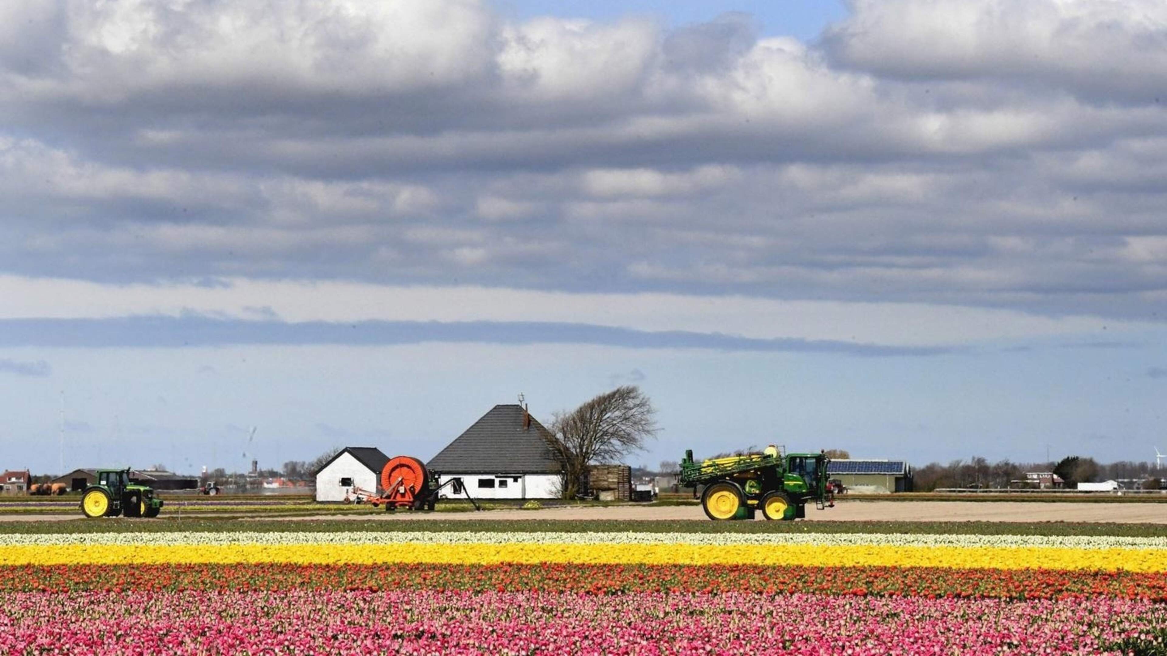 Netherlands considers ban on PFAS pesticides