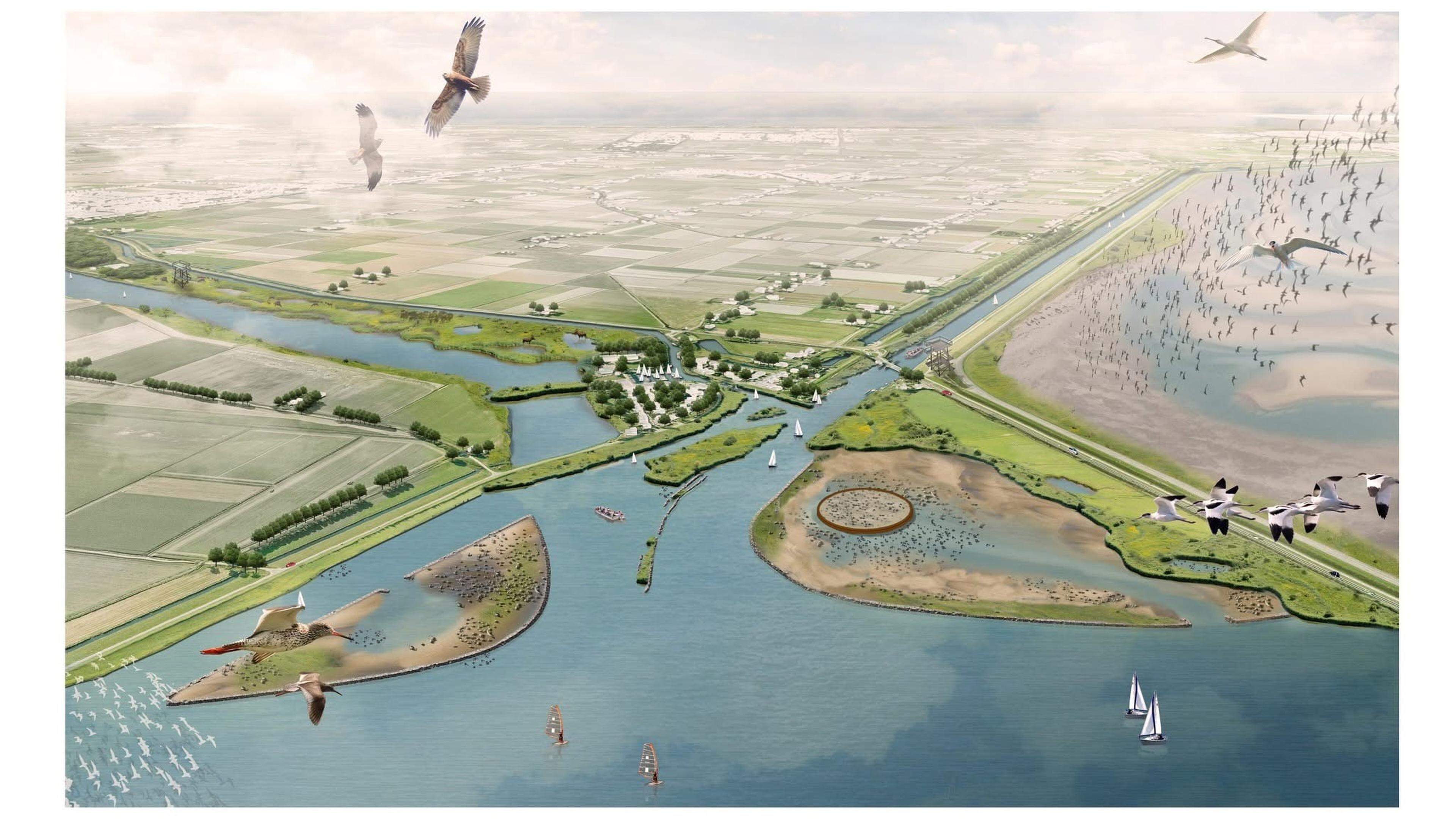 Een veilige broedplek vlak bij de ’drukste luchthaven voor vogels’. En de vos? Die heeft door de gla