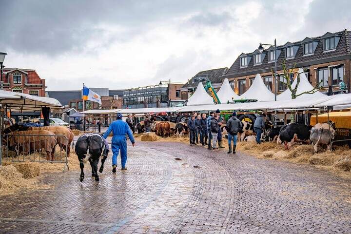 Leroy de Herder wint titel, twee jaar na zijn plots overleden stier ...