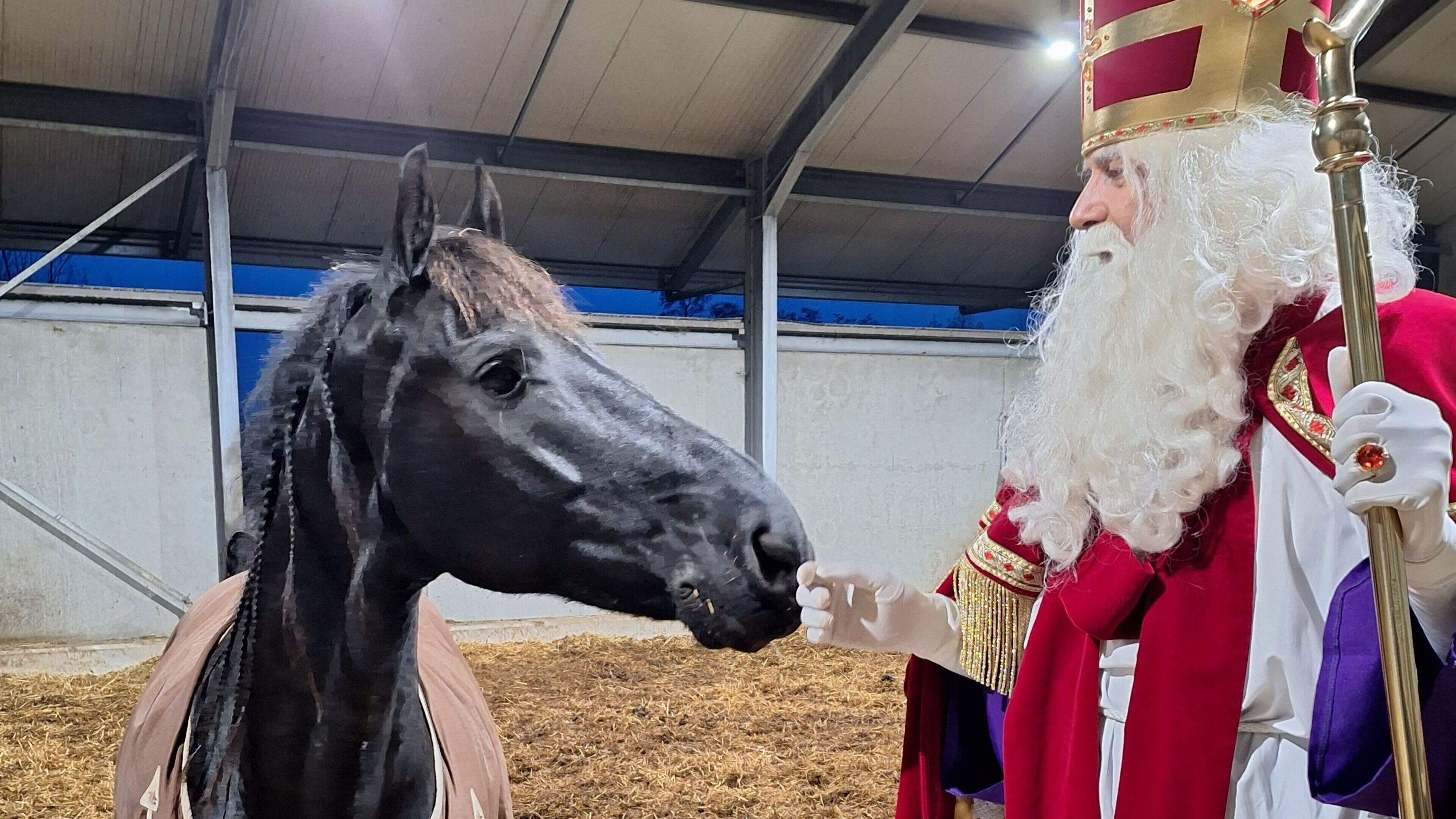 Het paard van Sinterklaas is overleden. Noir wordt gemist, maar wie weet komt er een ander paard voo