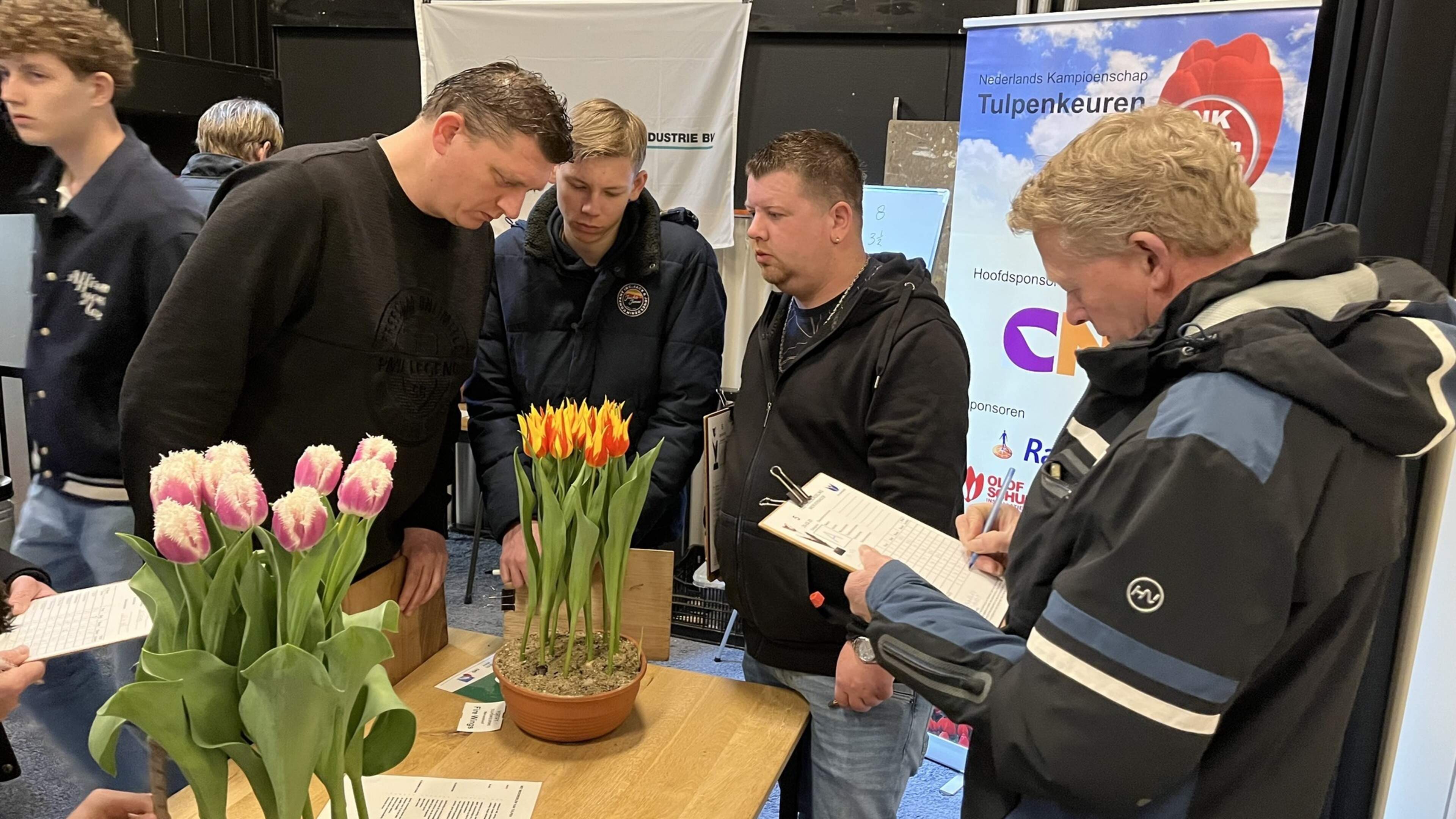 Hans (44) doet gooi naar Nederlands Kampioenschap tulpen keuren: ’Ik had eigenlijk niets met tulpen’
