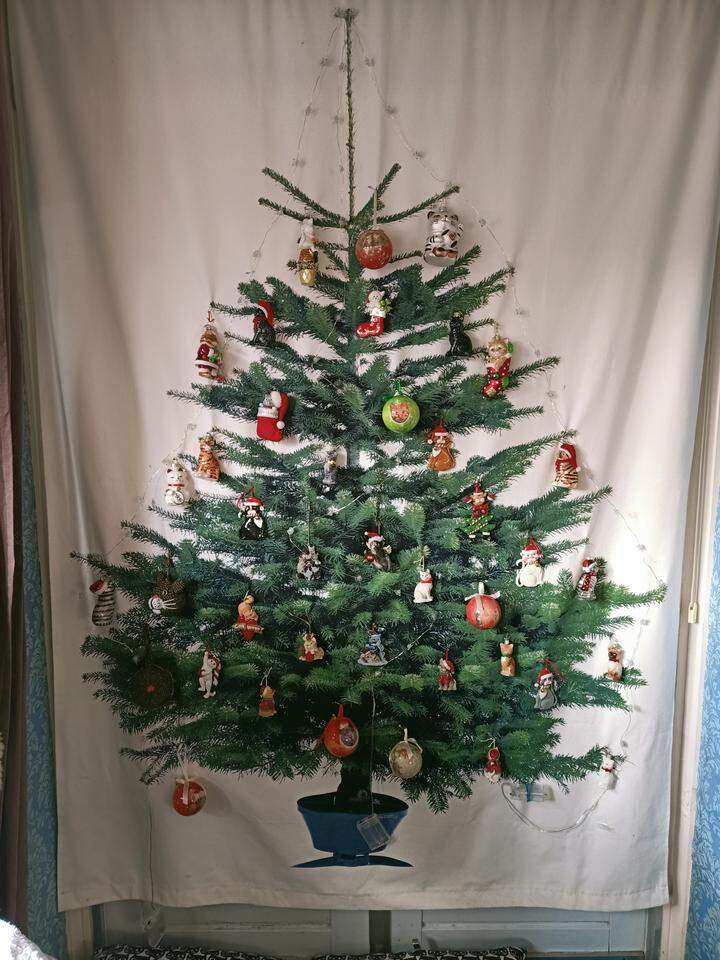 Van Klassiek Tot Creatief Bekijk Hier Hoe Jullie De Kerstboom Versieren Leidsch Dagblad