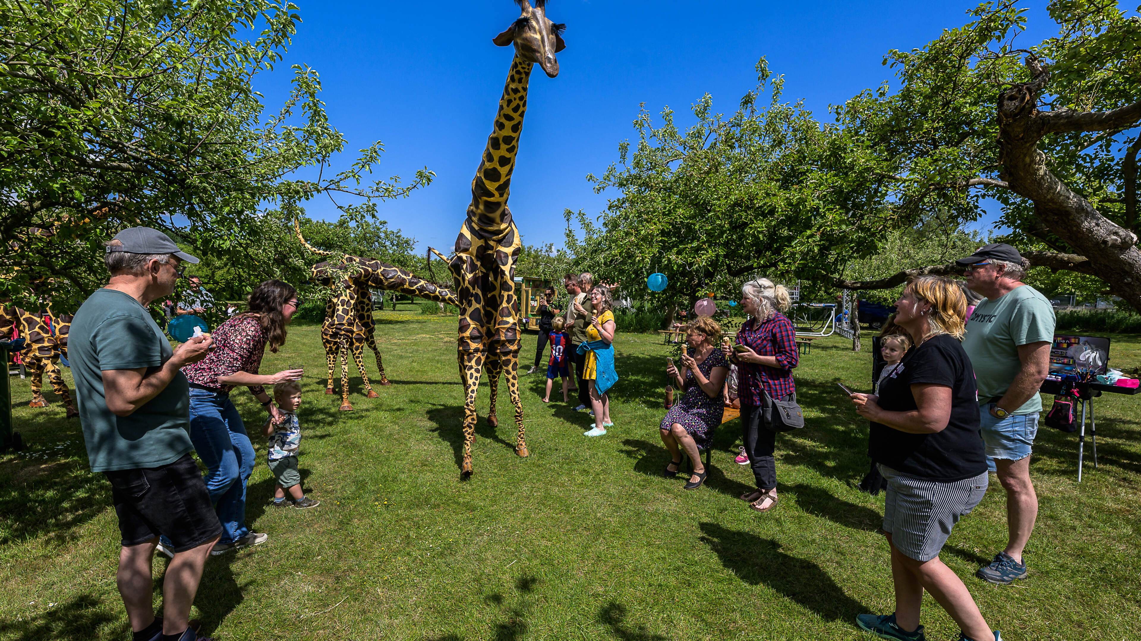 Muziek en giraffes tussen de fruitbomen tijdens P3 Popt Op in Zuidoostbeemster: ’Het is een soort Pi