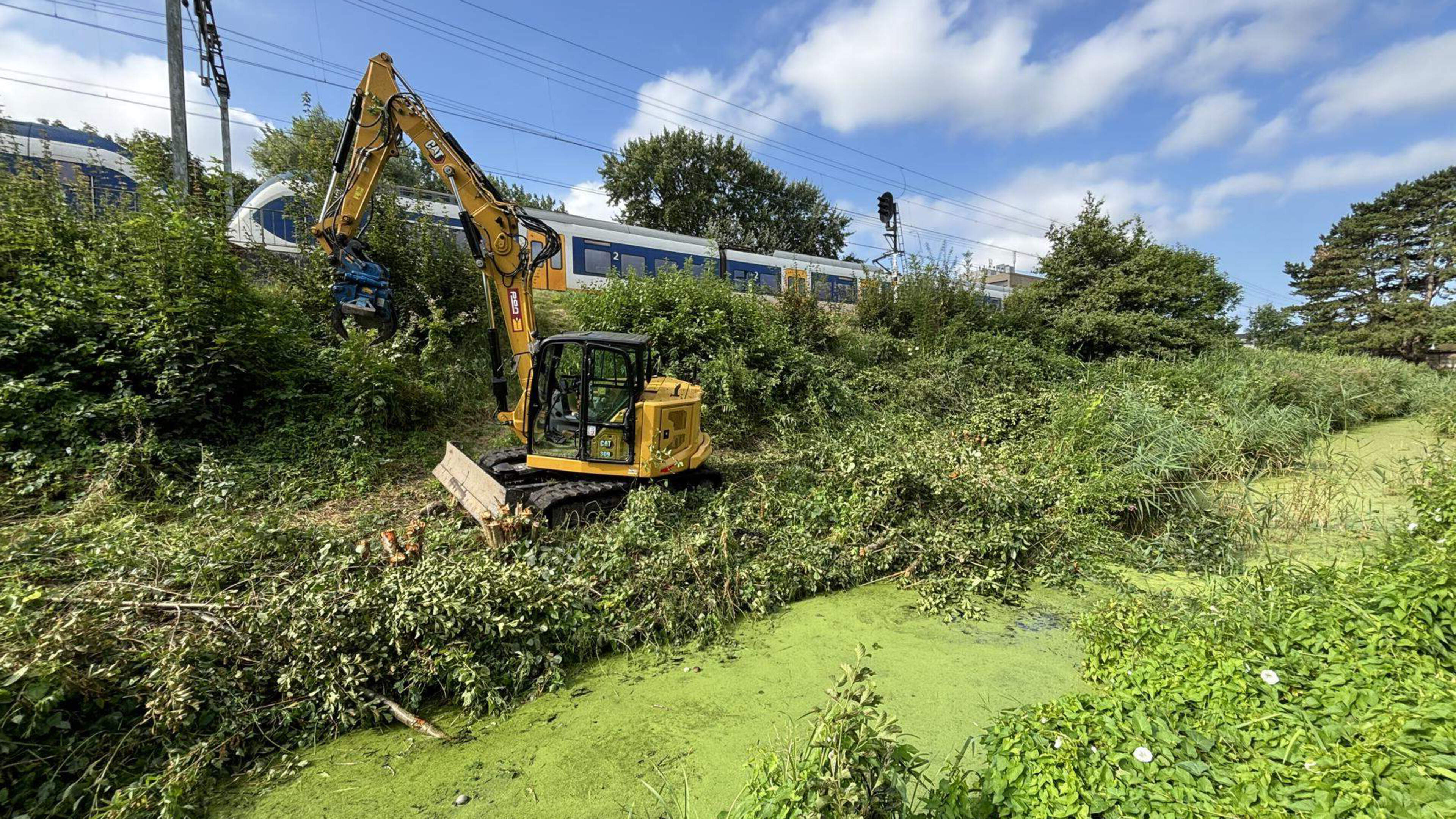 ProRail: bomenkap in Overveen ‘zeer uitzonderlijk’